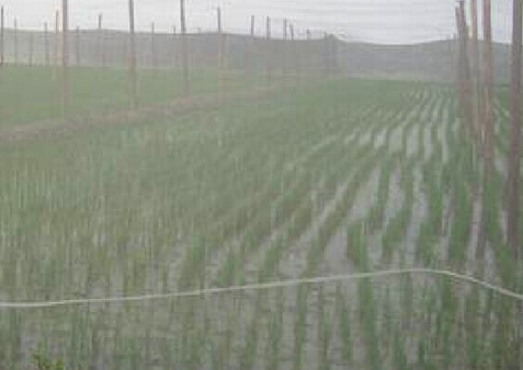 防蟲網規(guī)格